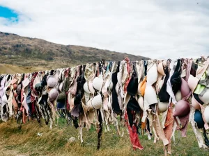 bra untuk gaun backless