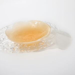 ฝาครอบหัวนม